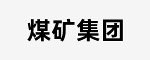 合作企業(yè)
